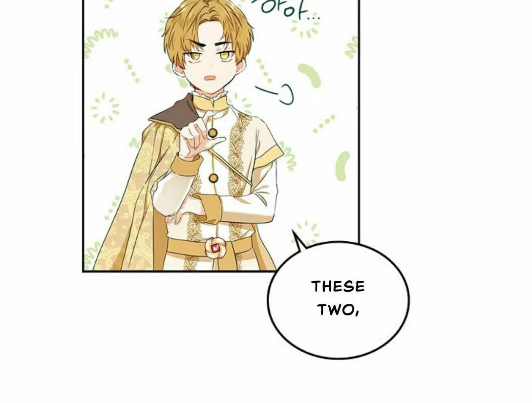 I Shall Master this Family! Chapter 16 page 29 - 