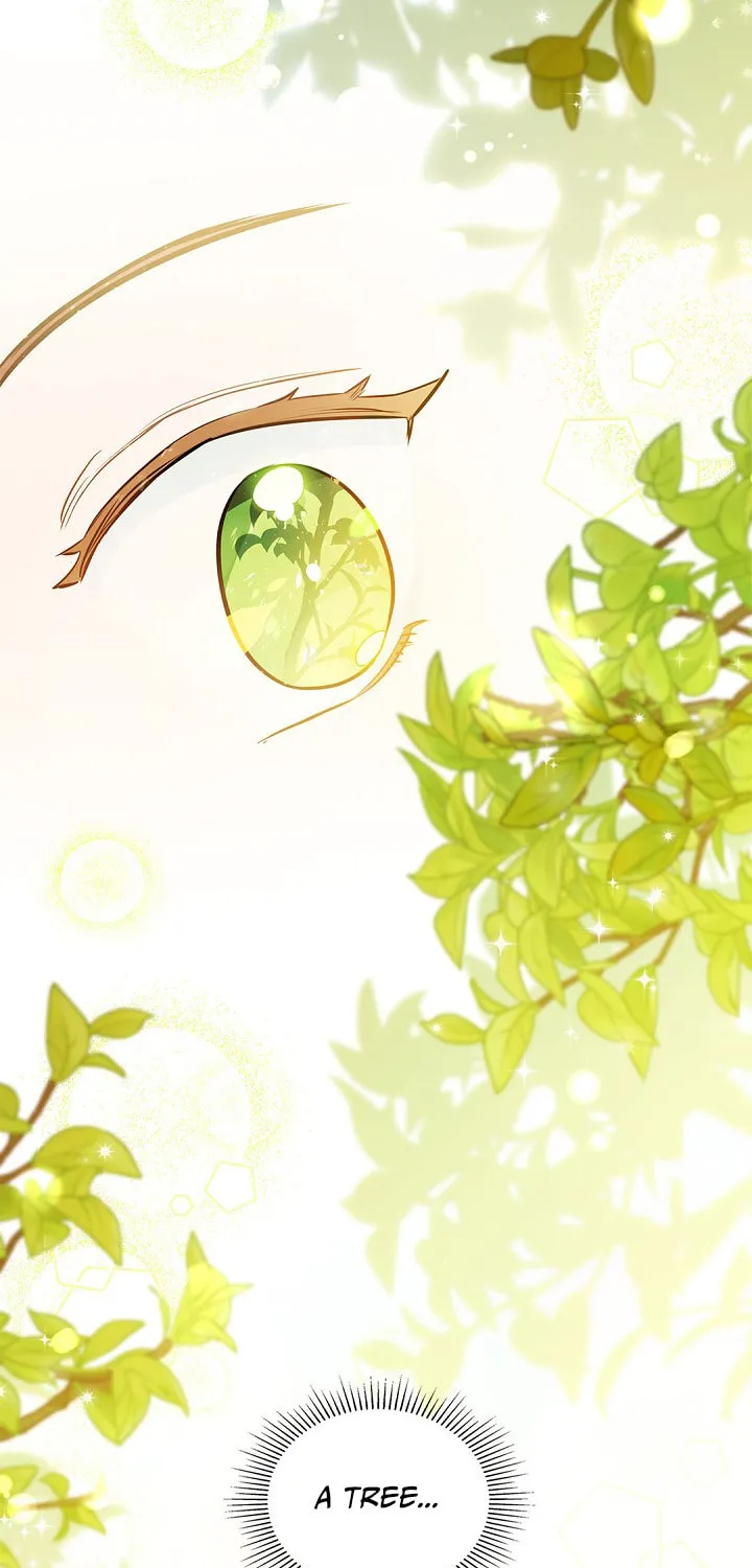 I Shall Master this Family! Chapter 9 page 66 - 