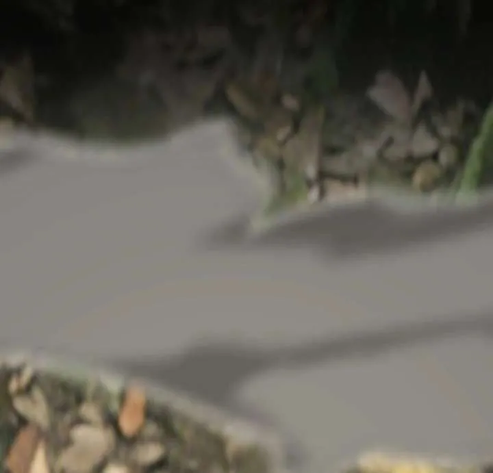 I started with the mythical talent, killing gods with one sword! Chapter 31 page 35 - 