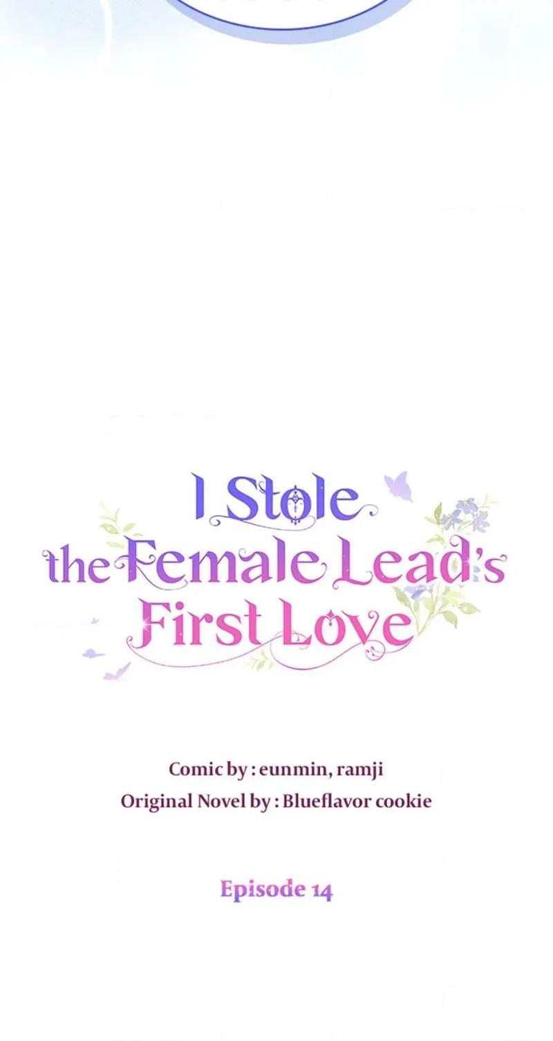 I Stole the Female Lead