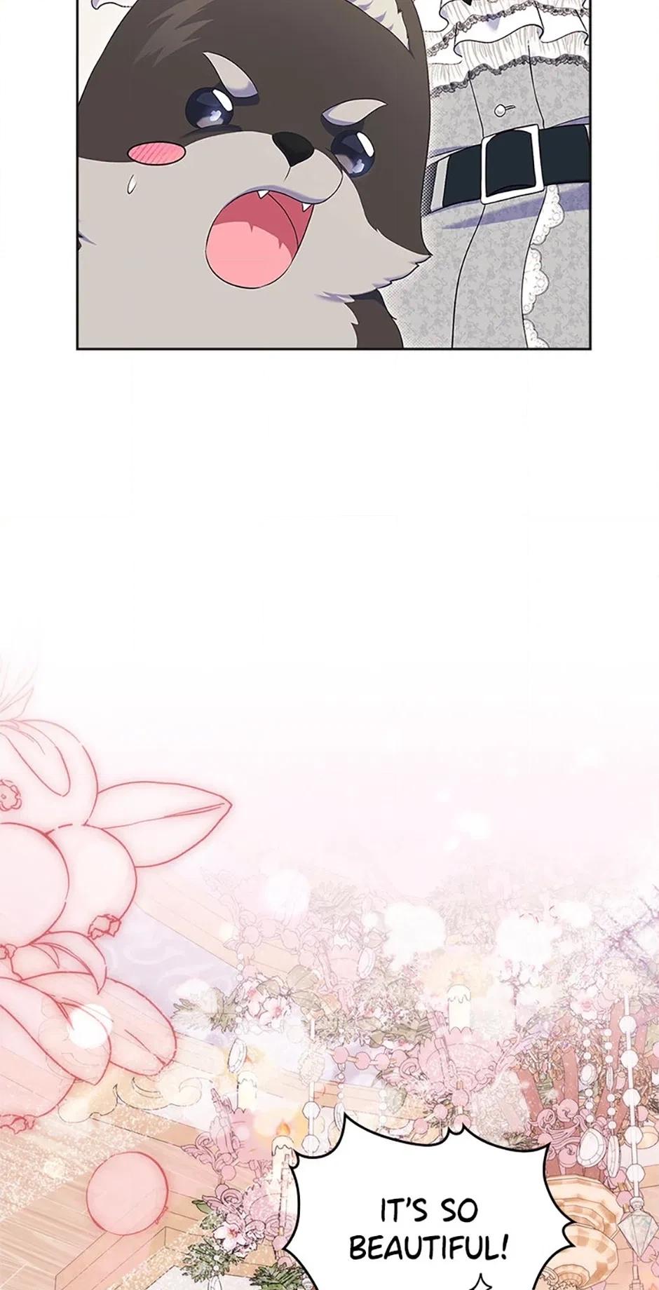 I Stole the Female Lead