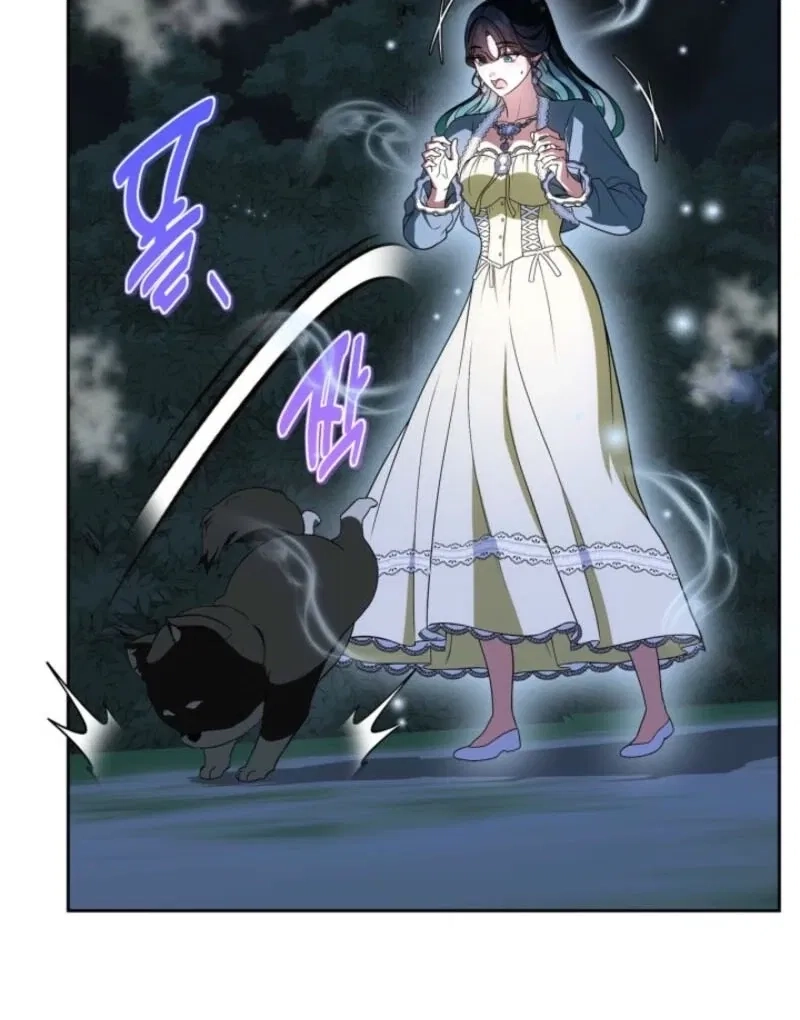I Stole the Female Lead