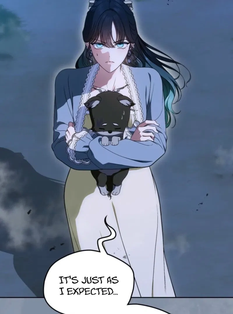 I Stole the Female Lead