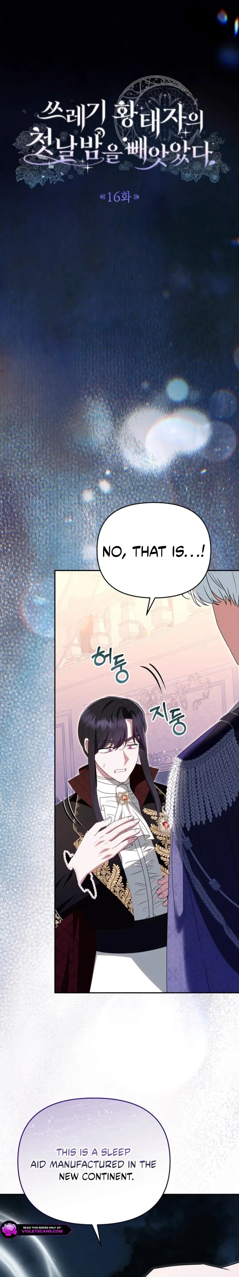 I Stole the First Night of the Trashy Crown Prince Chapter 16 page 8 - 