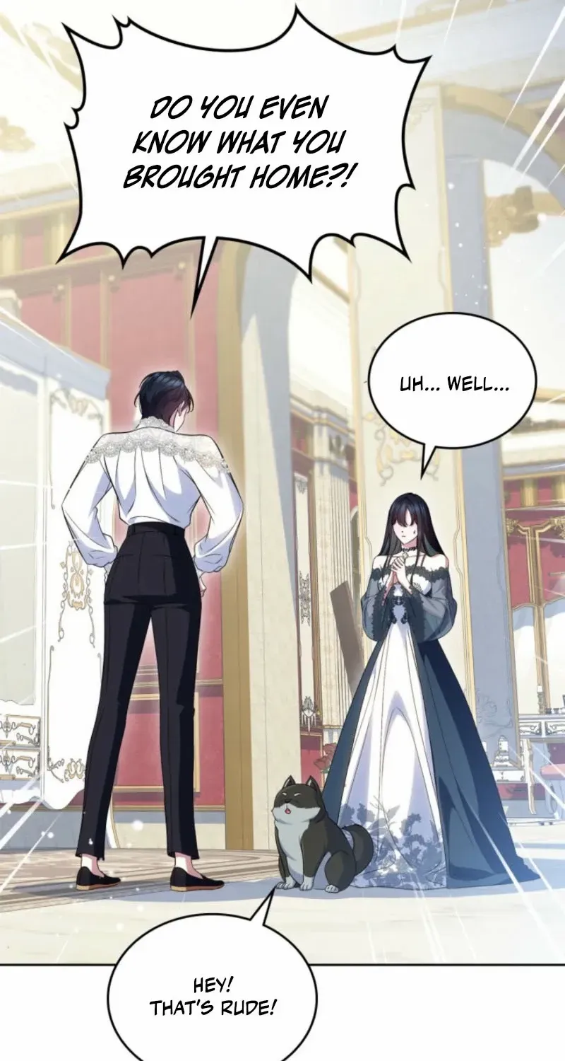 I Stole the Heroine’s First Love Chapter 77 page 61 - 