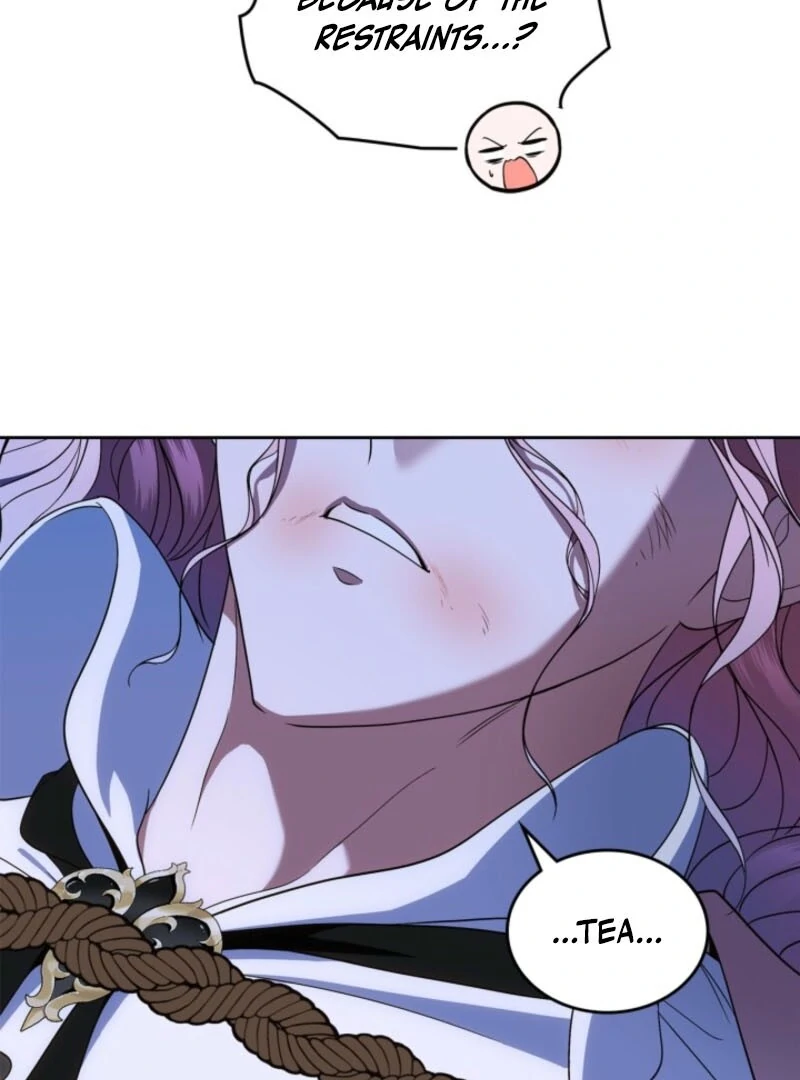I Stole the Heroine’s First Love Chapter 87 page 97 - 