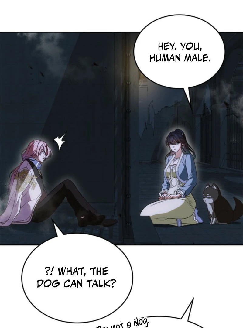I Stole the Heroine’s First Love Chapter 88 page 119 - 