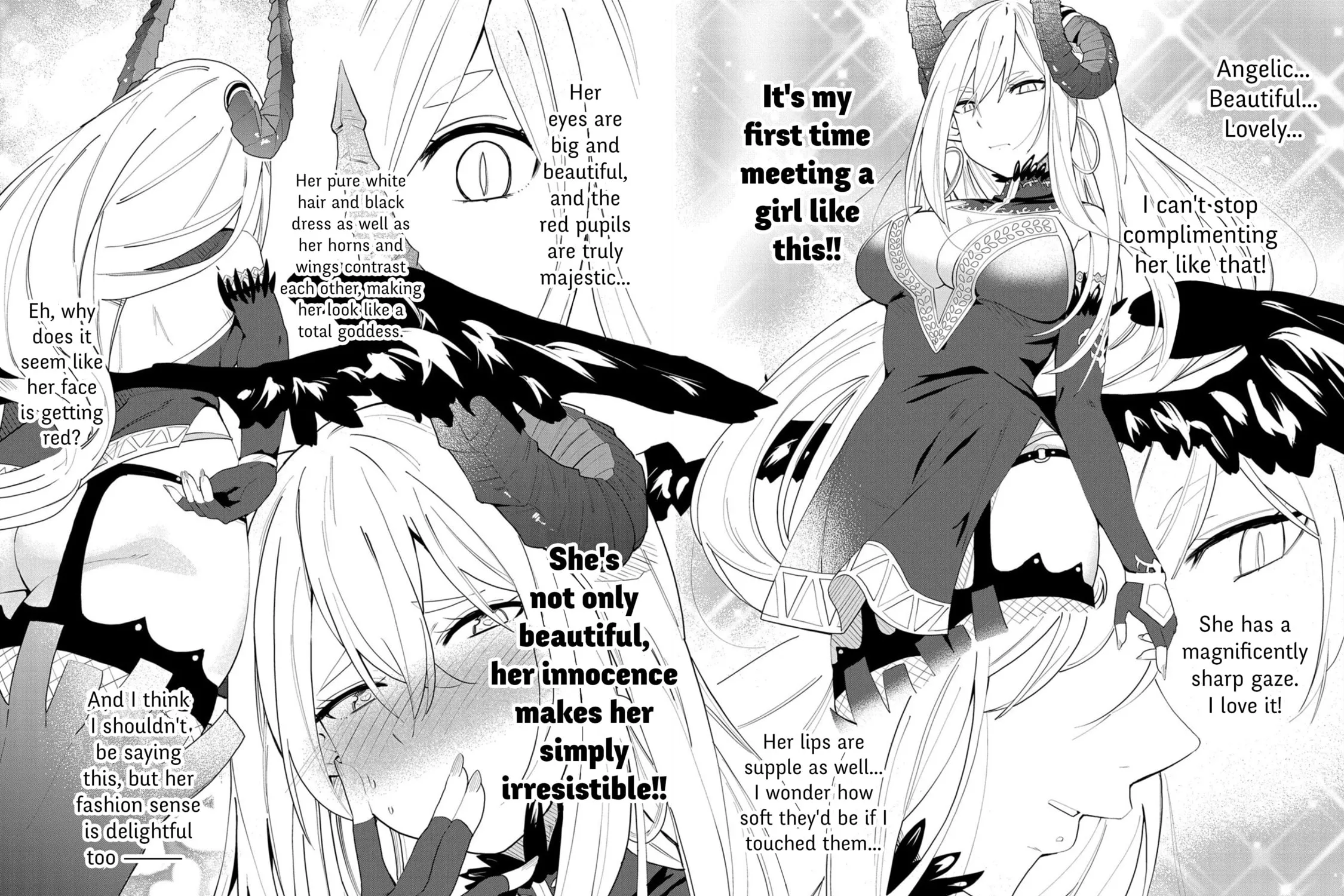 I Summoned a Devil to Make My Wish Come True, but I Got Married Because It Was Cute.: Devil