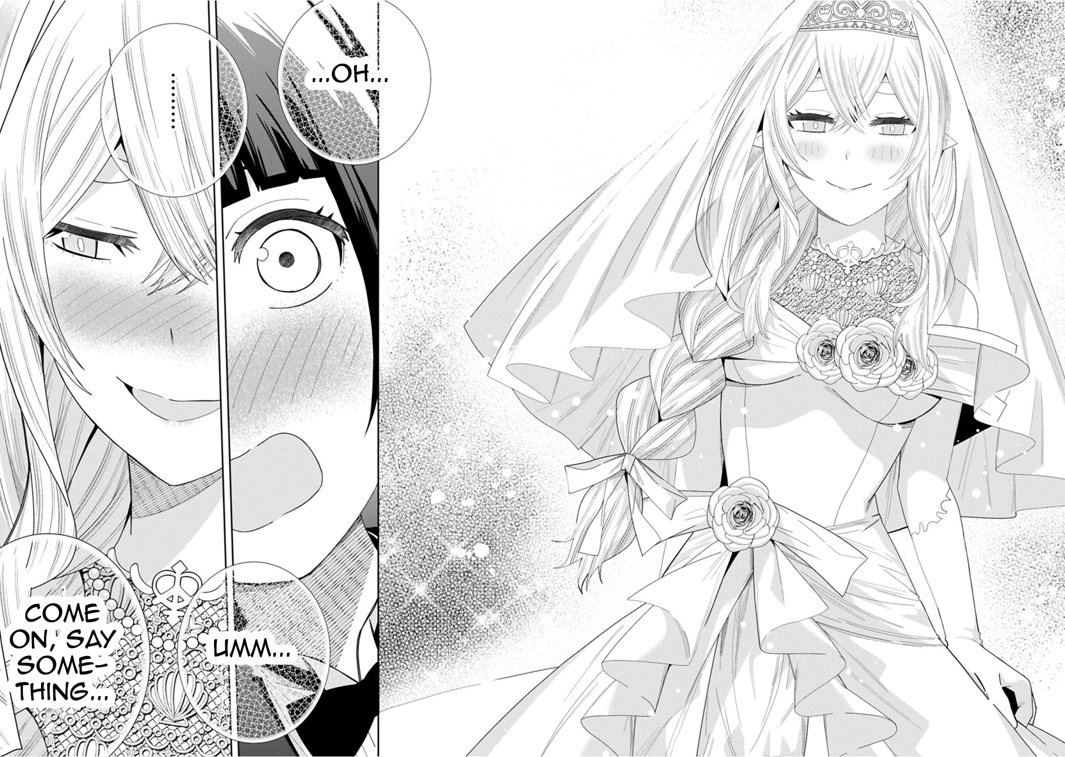 I Summoned a Devil to Make My Wish Come True, but I Got Married Because It Was Cute.: Devil