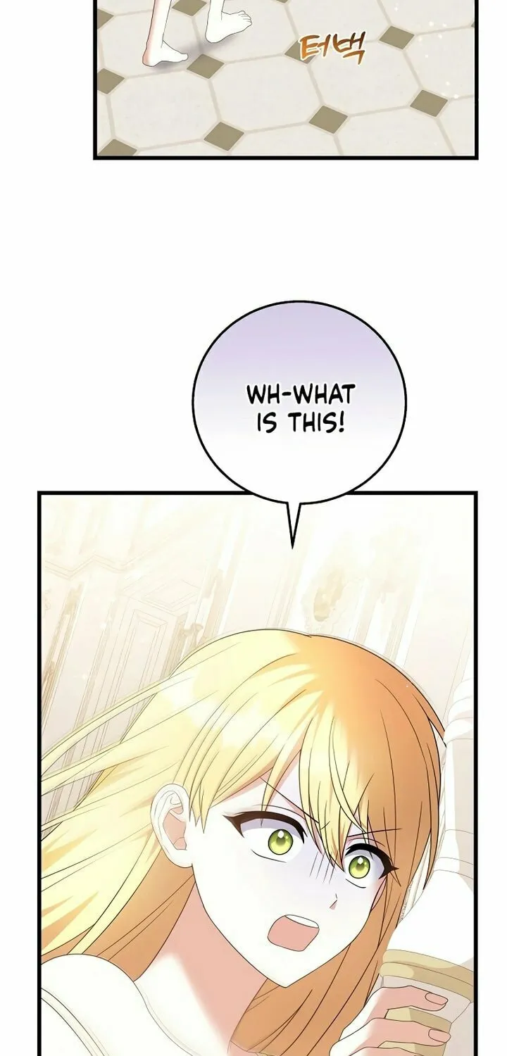 I Tamed the Enemy Prince Chapter 2 page 25 - 
