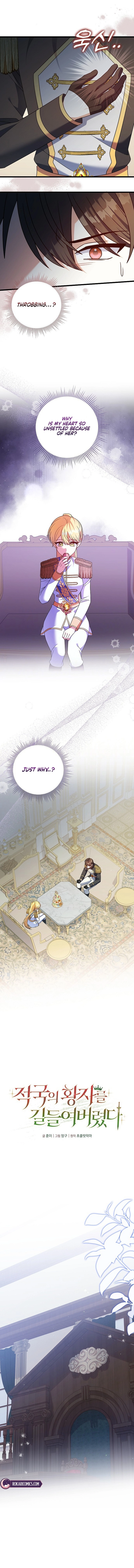 I Tamed the Enemy Prince Chapter 59 page 5 - 