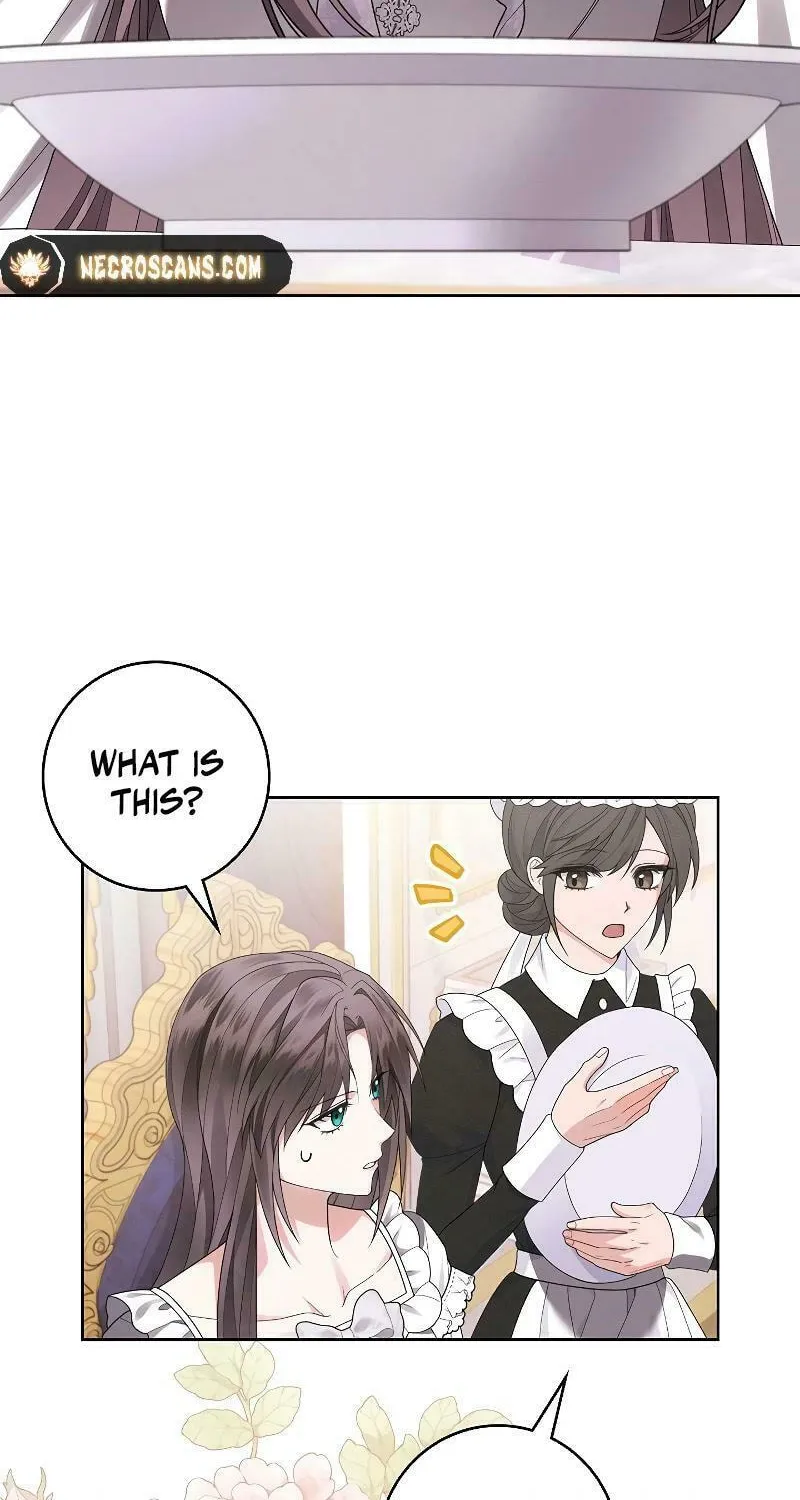 I Taught You Carefully, so Why Are You Obsessed? Chapter 21 page 29 - 