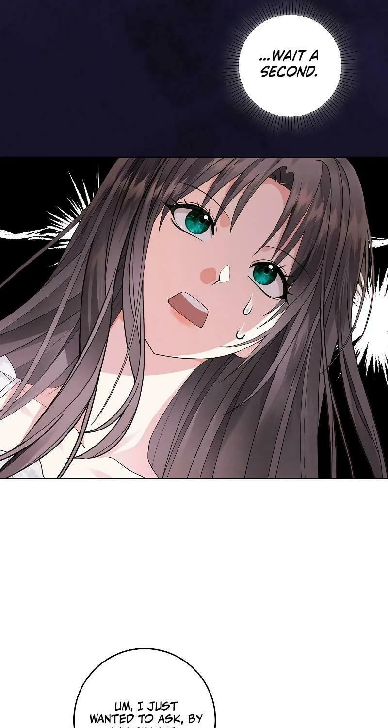 I Taught You Carefully, so Why Are You Obsessed? Chapter 21 page 52 - 