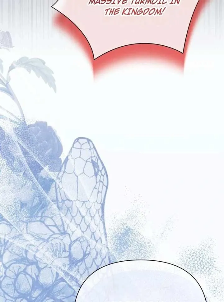 I Think It Would Be Better For Me to Become King Chapter 28 page 27 - 