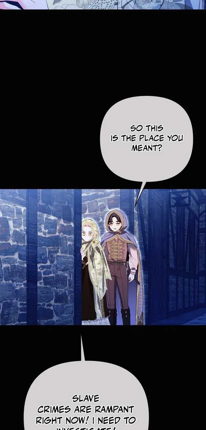 I Think It Would Be Better For Me to Become King Chapter 29 page 25 - 