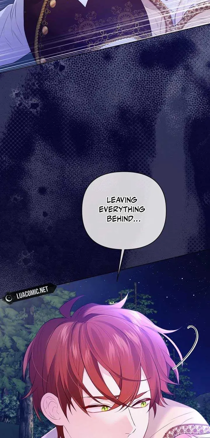 I Think It Would Be Better For Me to Become King Chapter 30 page 16 - 