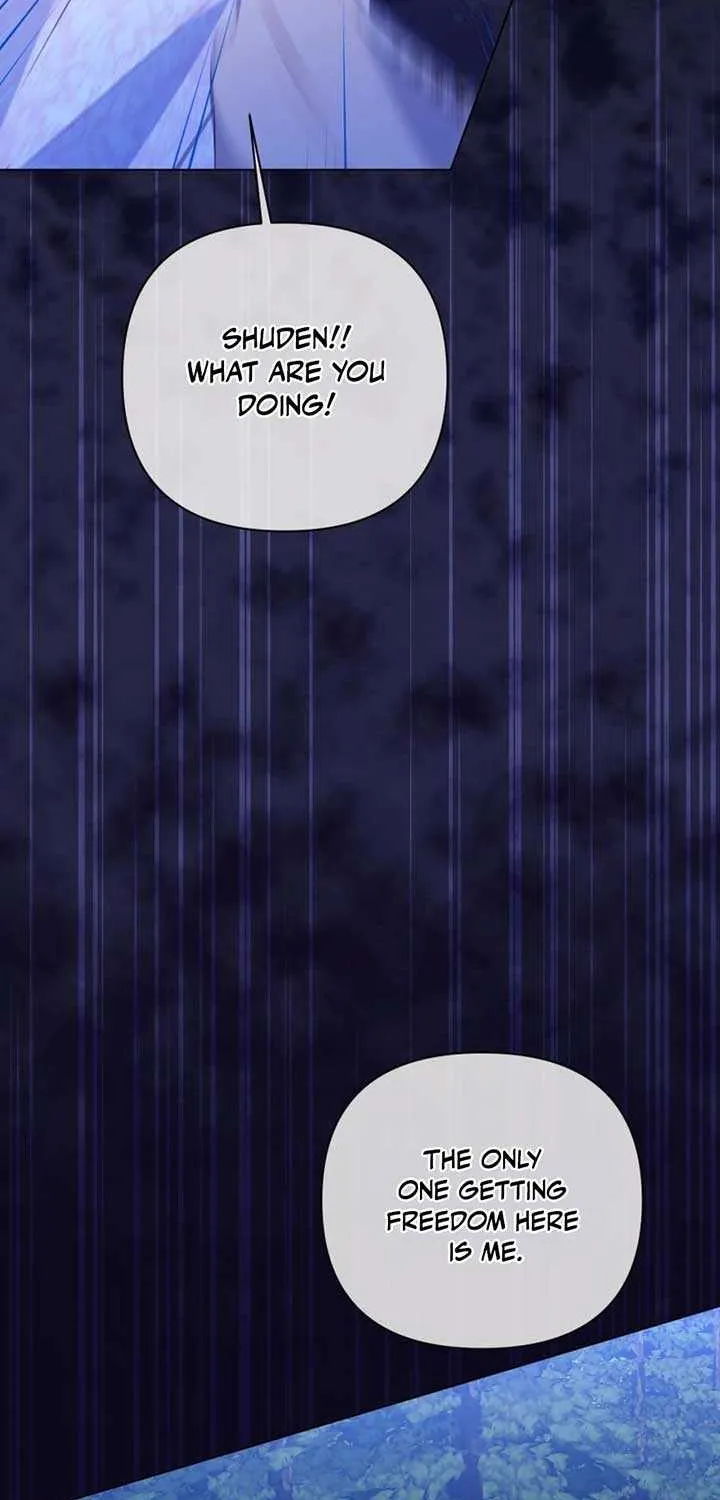 I Think It Would Be Better For Me to Become King Chapter 30 page 33 - 