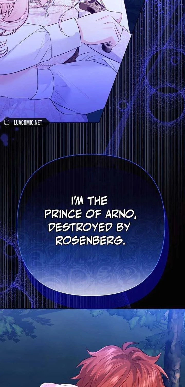 I Think It Would Be Better For Me to Become King Chapter 30 page 43 - 