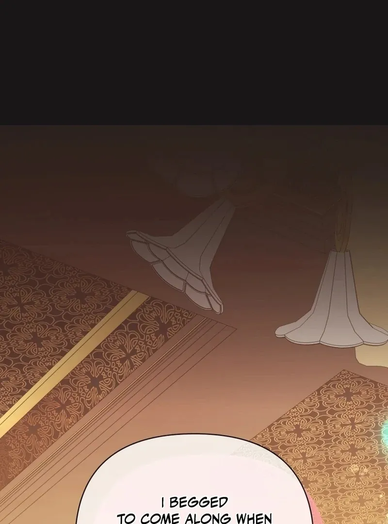 I Think It Would Be Better For Me to Become King Chapter 37 page 70 - 