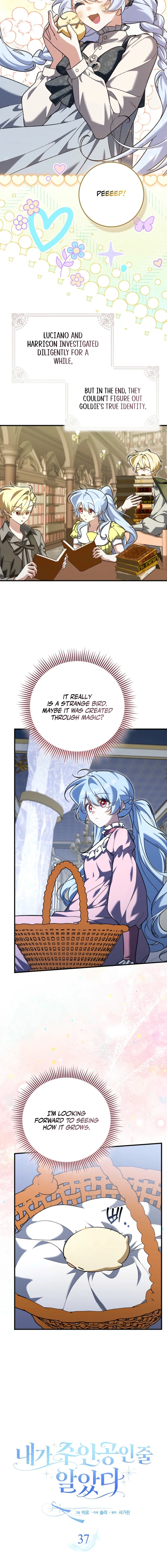I Thought I Was the Main Character Chapter 37 page 8 - 