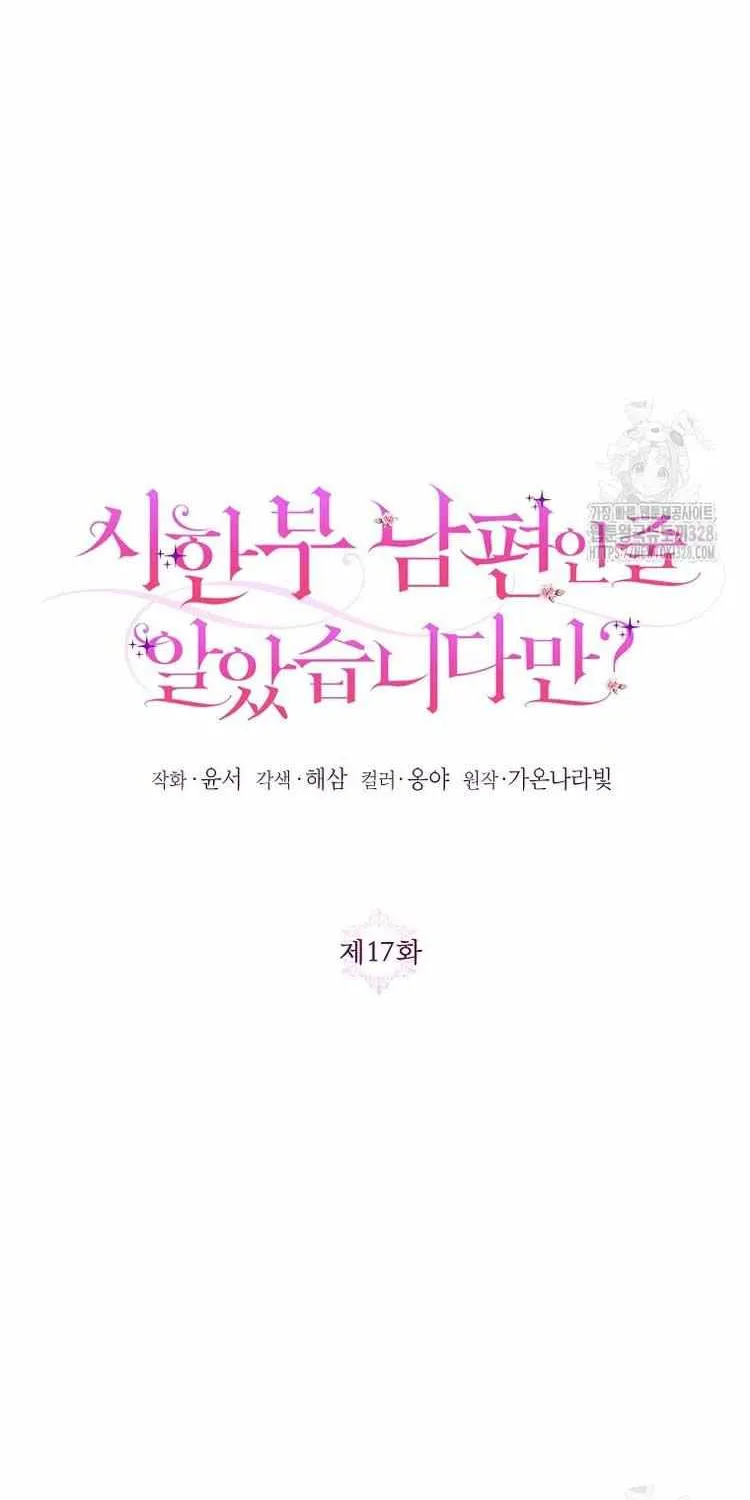 I Thought You Were A Time-Limited Husband Chapter 17 page 16 - 