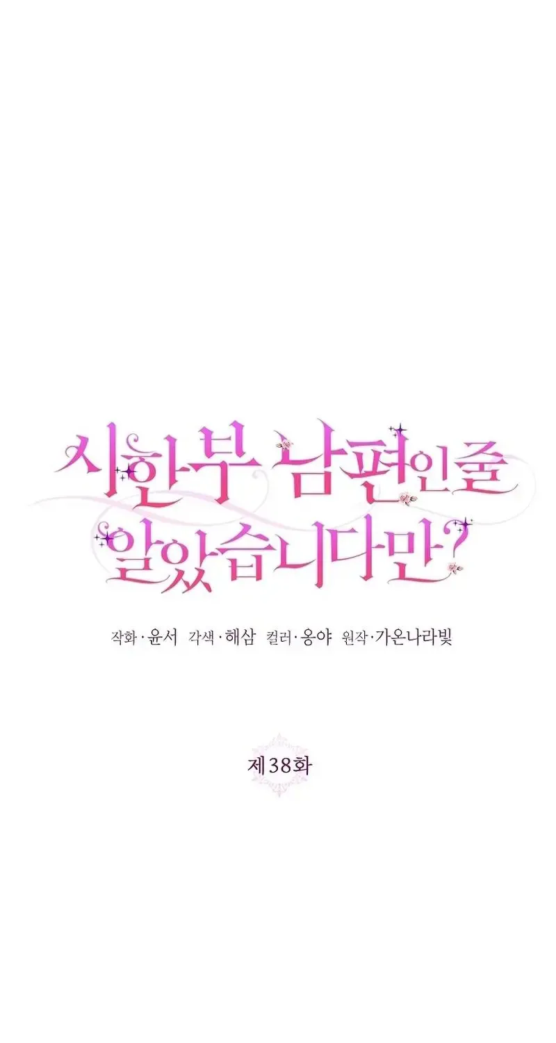 I Thought You Were A Time-Limited Husband Chapter 38 page 22 - 