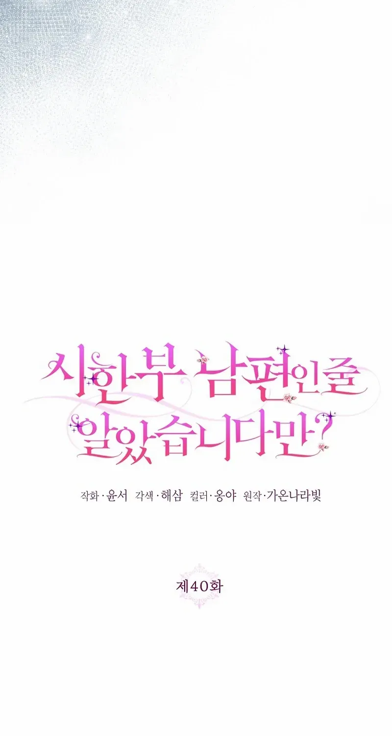 I Thought You Were A Time-Limited Husband Chapter 40 page 19 - 
