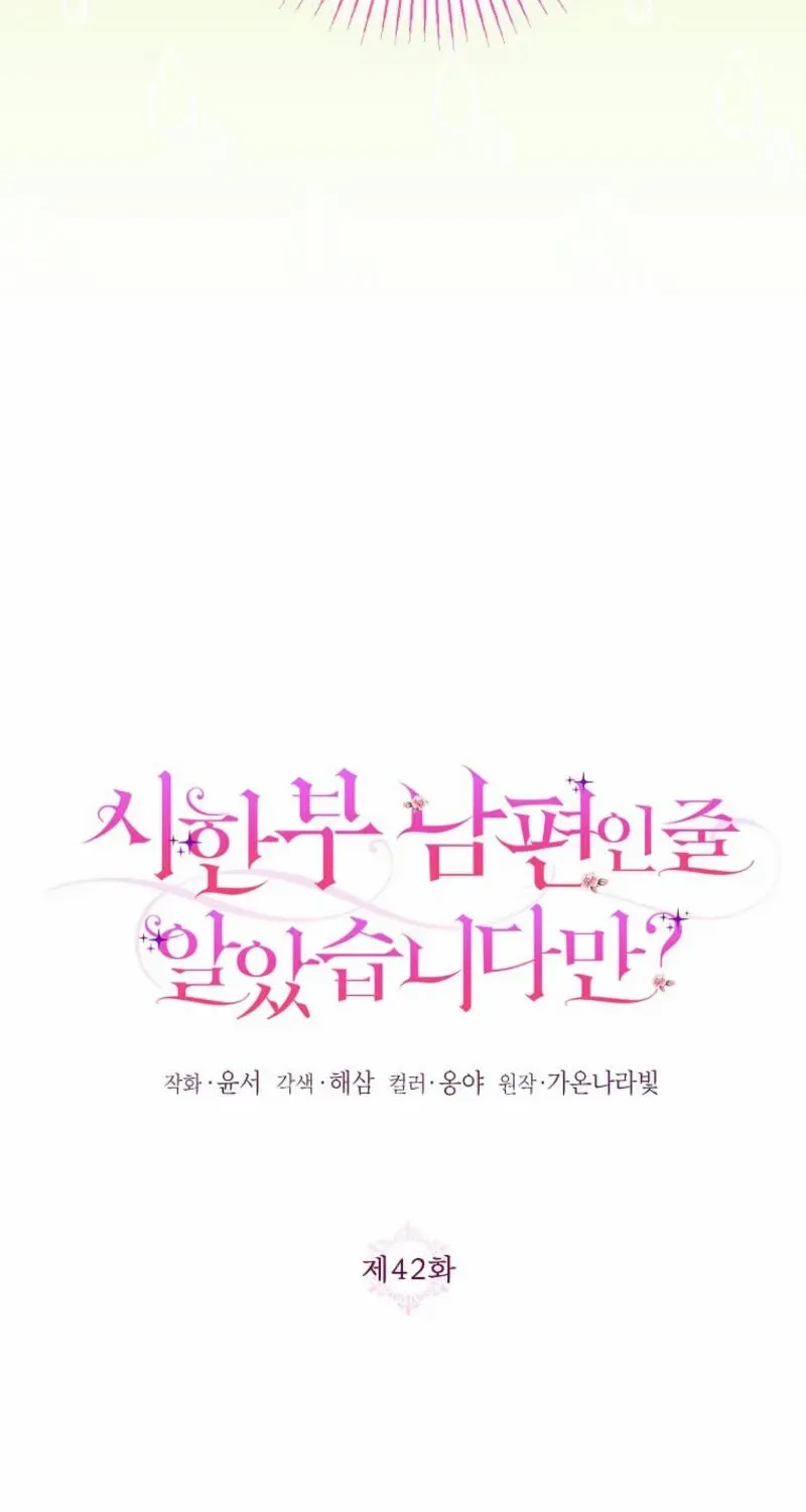 I Thought You Were A Time-Limited Husband Chapter 42 page 43 - 