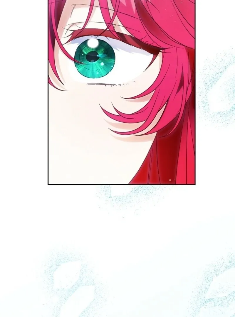 I Thought You Were A Time-Limited Husband Chapter 63 page 3 - 