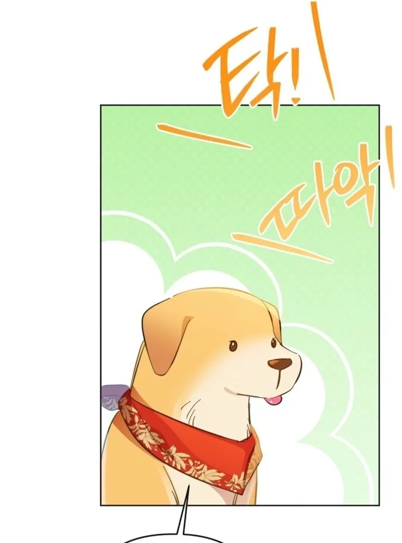 I Thought You Were A Time-Limited Husband Chapter 67 page 71 - 