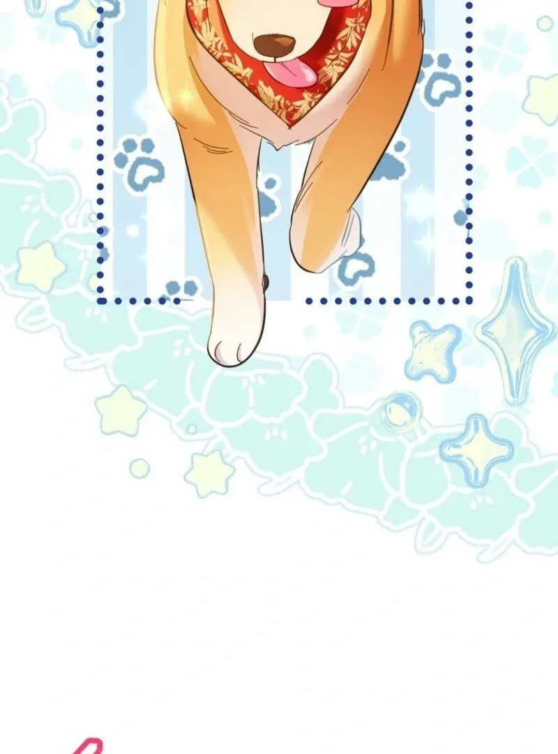 I Thought You Were A Time-Limited Husband Chapter 67 page 75 - 