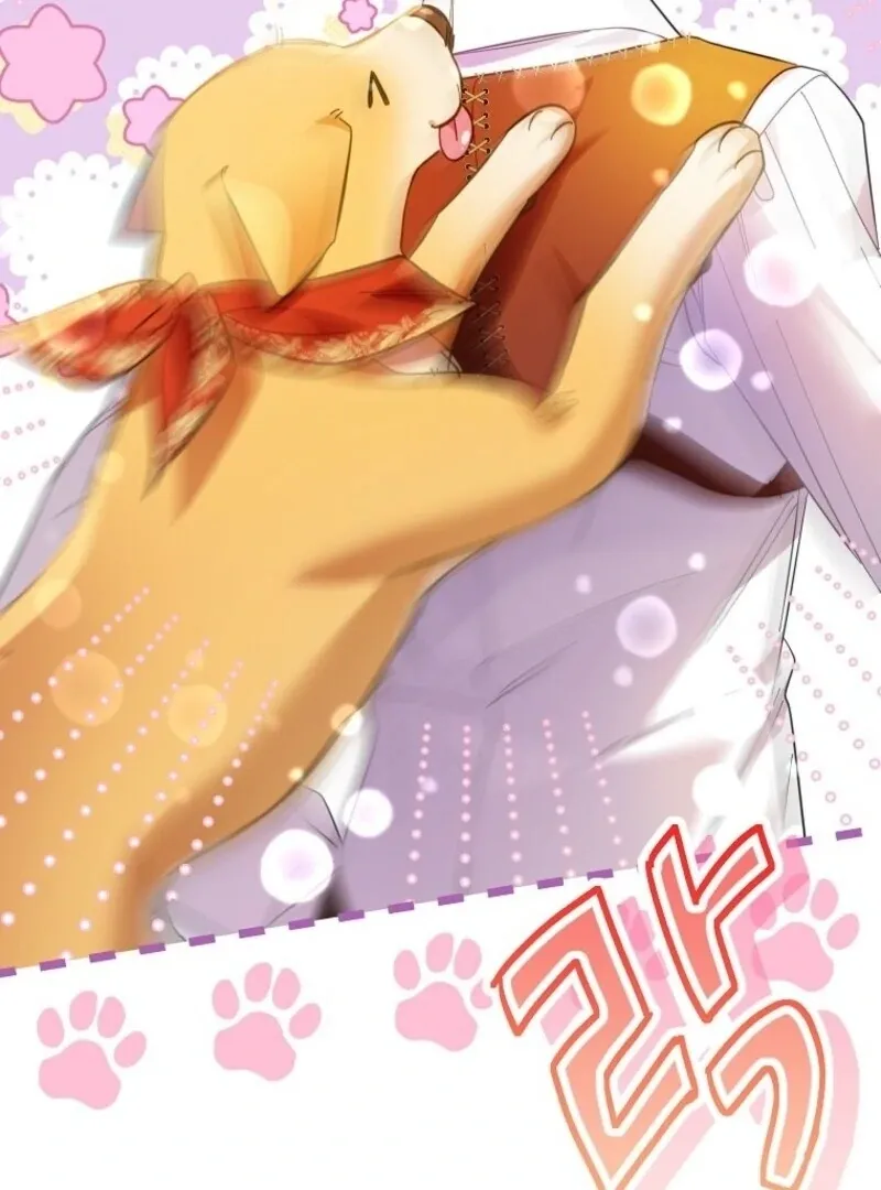 I Thought You Were A Time-Limited Husband Chapter 67 page 80 - 
