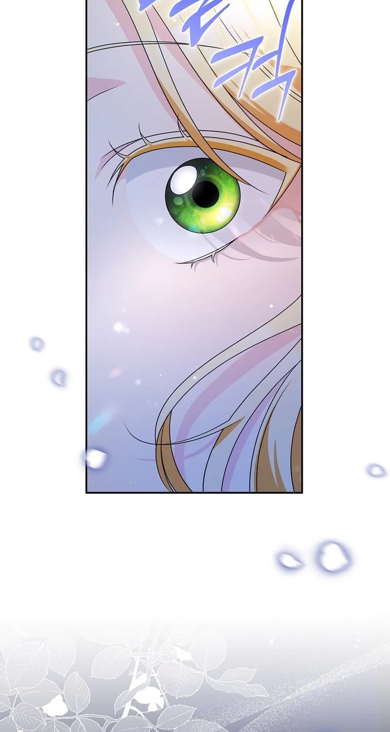 I Want a Divorce, Please Stop Obsessing Over Me! Chapter 1 page 28 - 