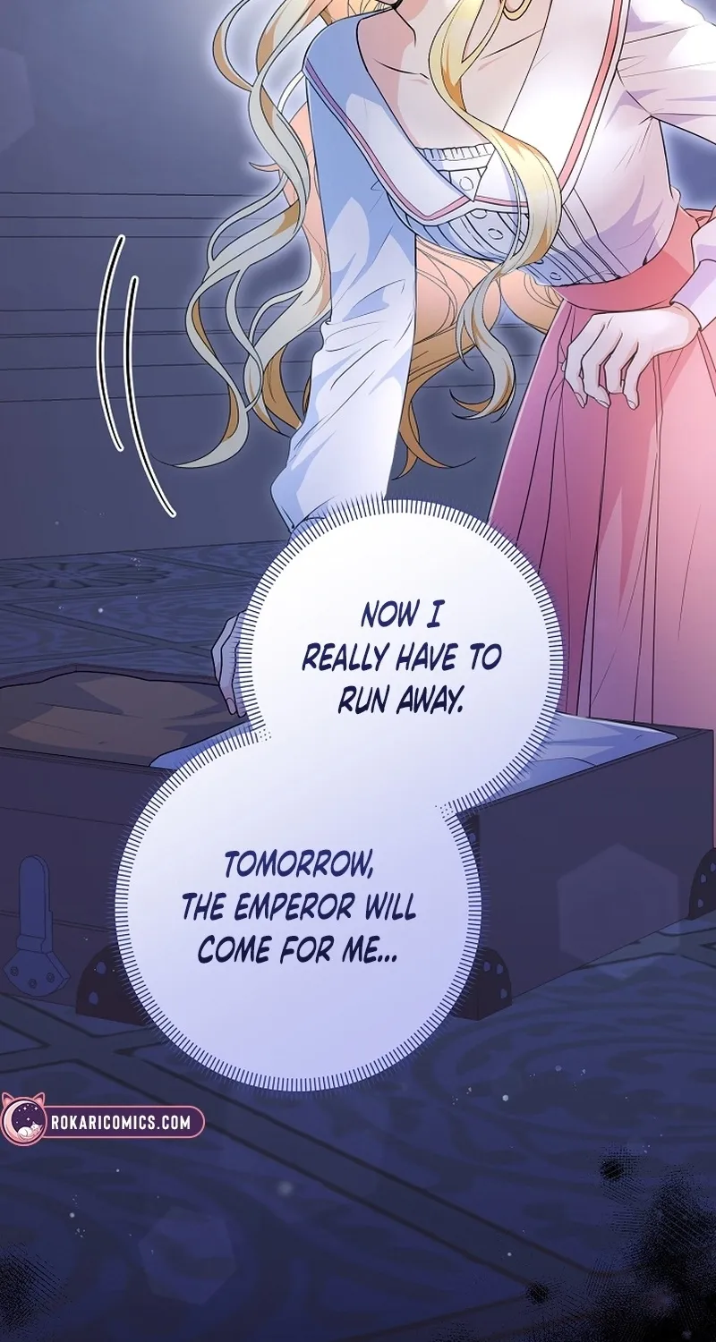 I Want a Divorce, Please Stop Obsessing Over Me! Chapter 1 page 6 - 