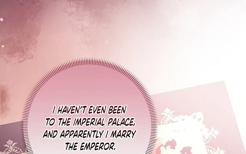 I Want a Divorce, Please Stop Obsessing Over Me! Chapter 1 page 95 - 