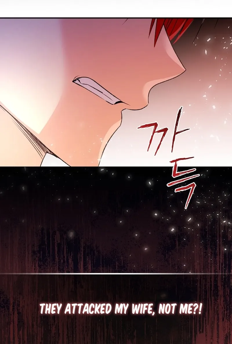 I Want a Divorce, Please Stop Obsessing Over Me! Chapter 10 page 14 - 