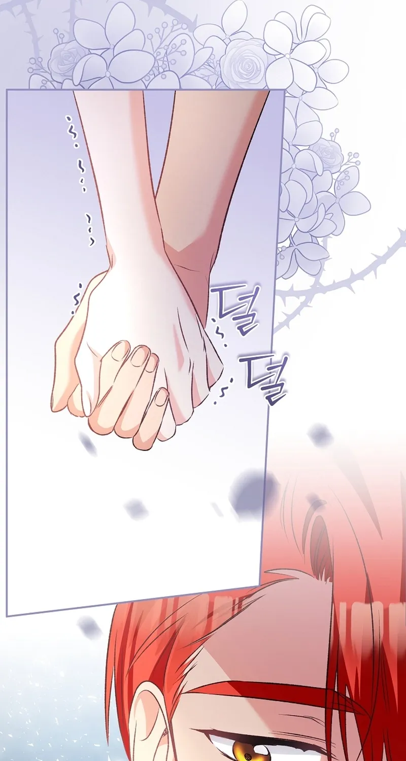 I Want a Divorce, Please Stop Obsessing Over Me! Chapter 11 page 21 - 