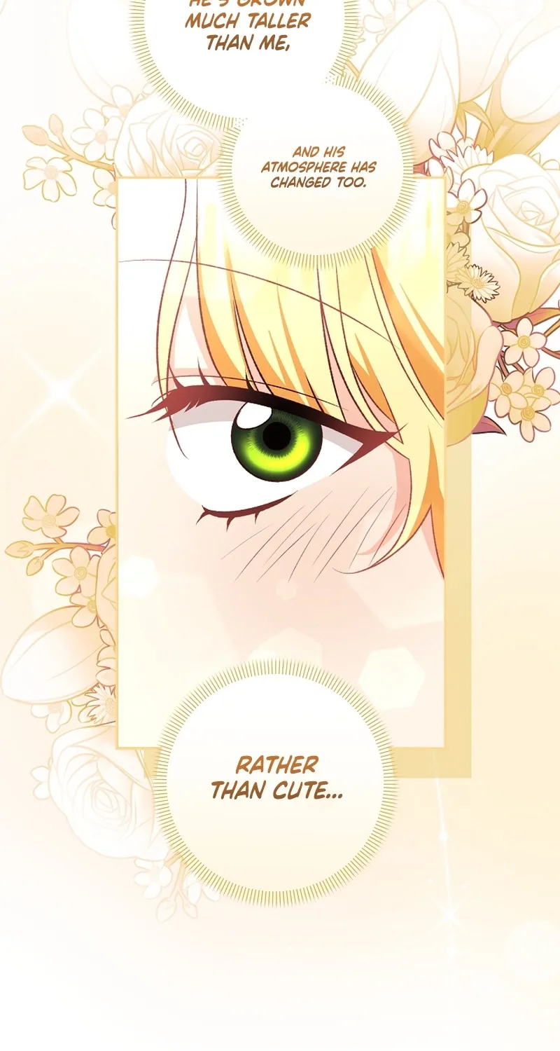 I Want a Divorce, Please Stop Obsessing Over Me! Chapter 11 page 34 - 