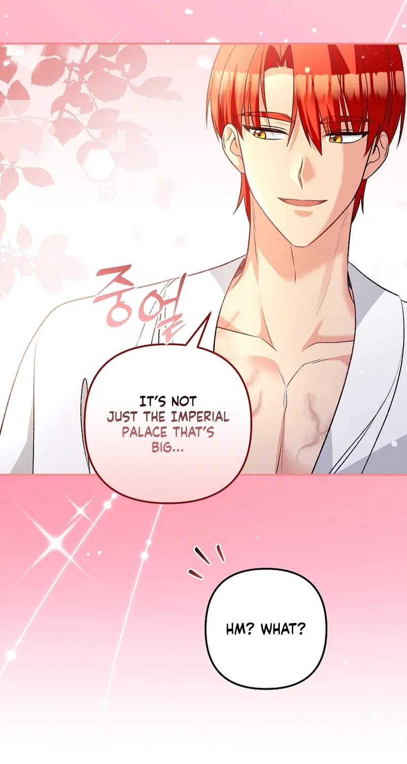 I Want a Divorce, Please Stop Obsessing Over Me! Chapter 11 page 64 - 