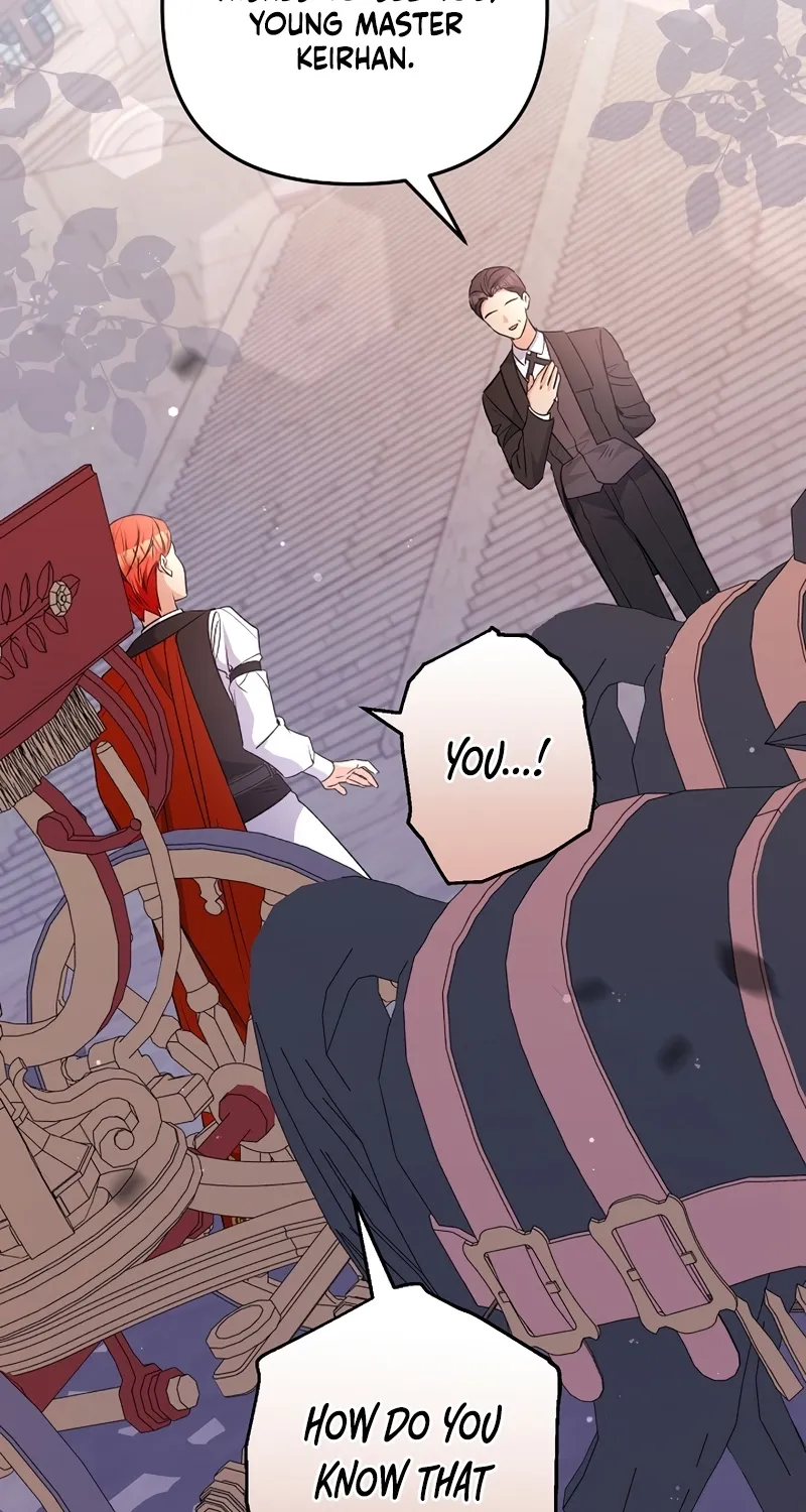 I Want a Divorce, Please Stop Obsessing Over Me! Chapter 12 page 2 - 