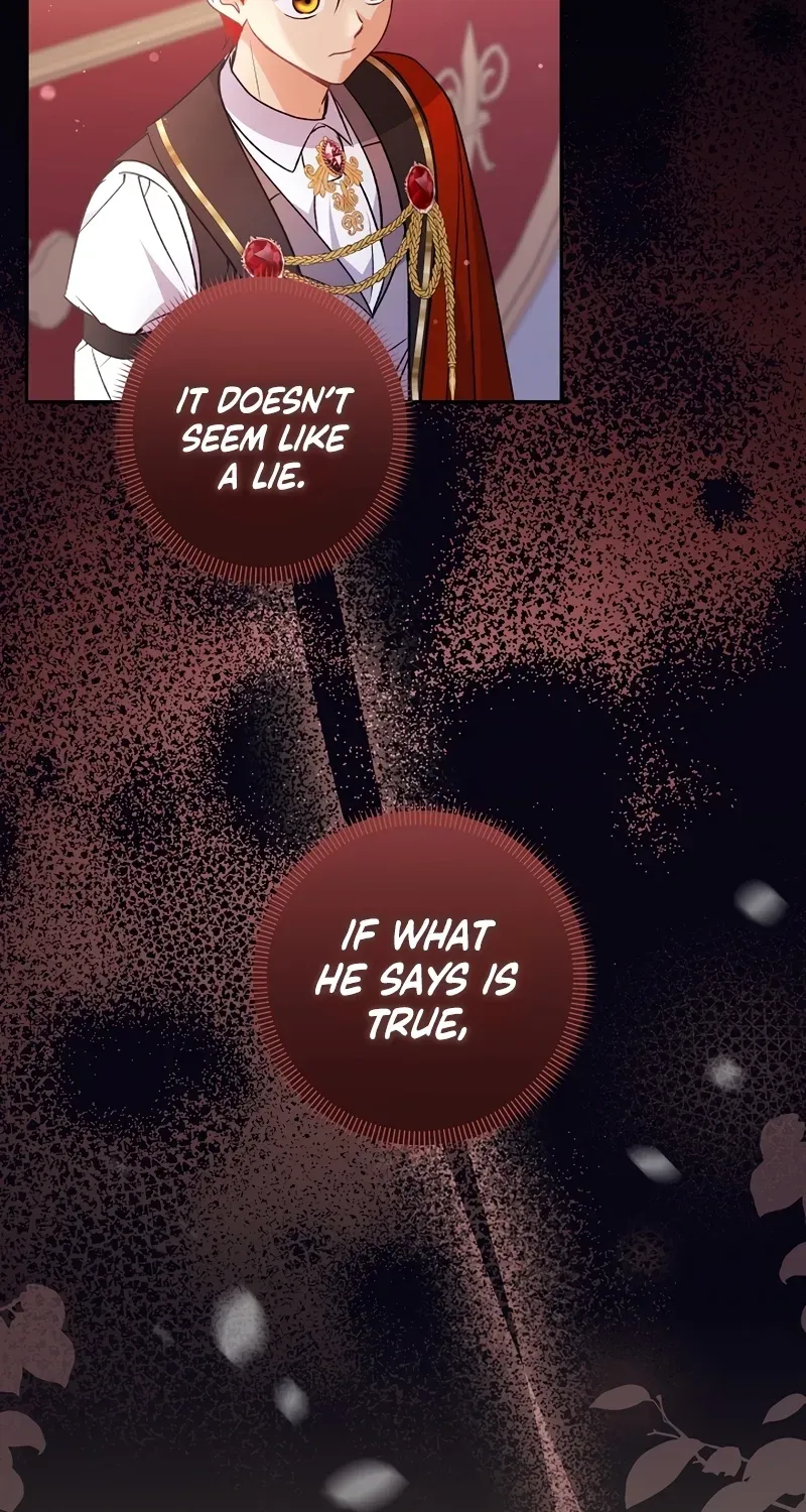 I Want a Divorce, Please Stop Obsessing Over Me! Chapter 12 page 11 - 