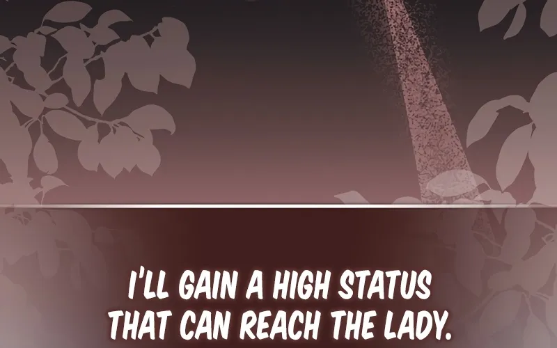 I Want a Divorce, Please Stop Obsessing Over Me! Chapter 12 page 12 - 