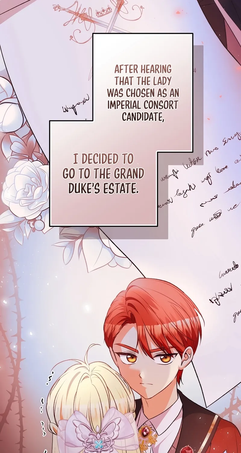I Want a Divorce, Please Stop Obsessing Over Me! Chapter 12 page 17 - 