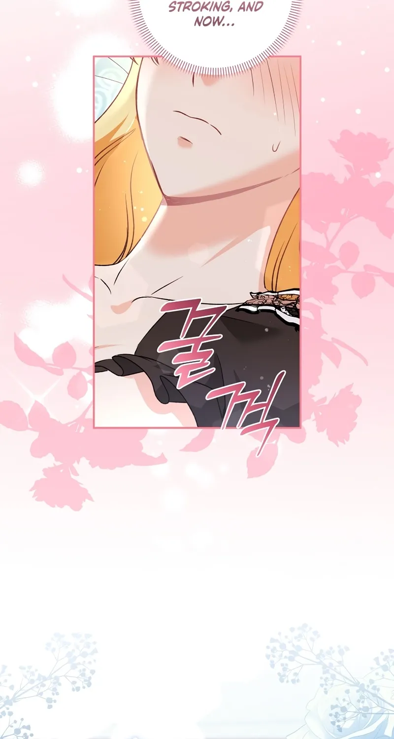 I Want a Divorce, Please Stop Obsessing Over Me! Chapter 12 page 63 - 