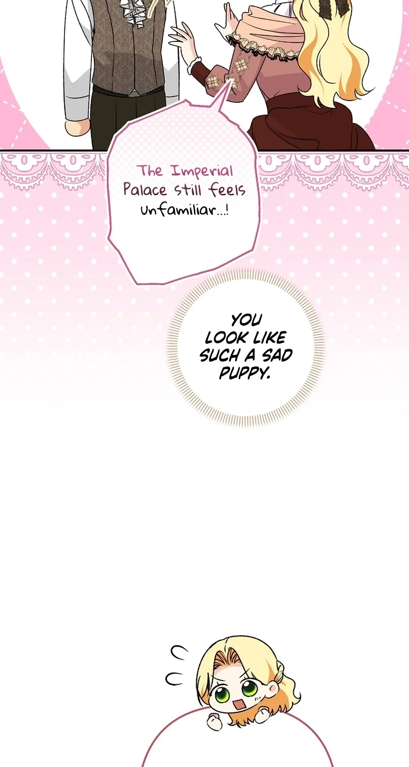 I Want a Divorce, Please Stop Obsessing Over Me! Chapter 13 page 16 - 