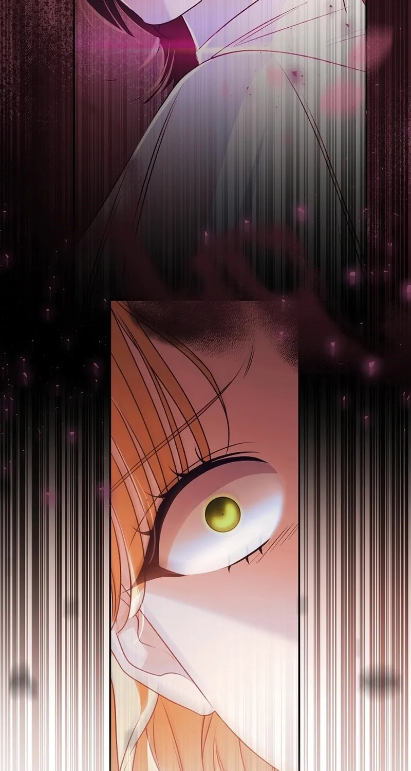 I Want a Divorce, Please Stop Obsessing Over Me! Chapter 13 page 82 - 