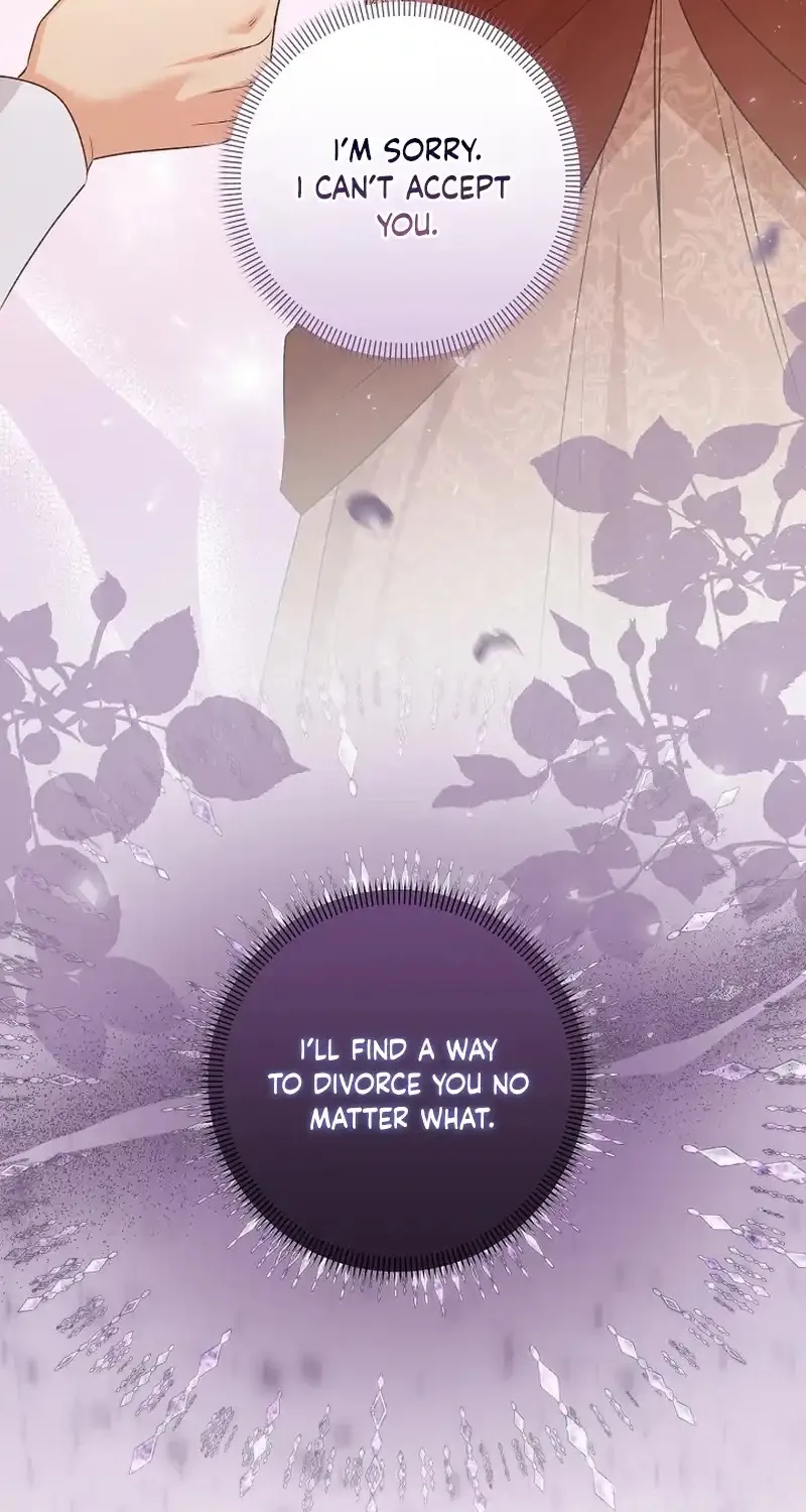 I Want a Divorce, Please Stop Obsessing Over Me! Chapter 14 page 71 - 