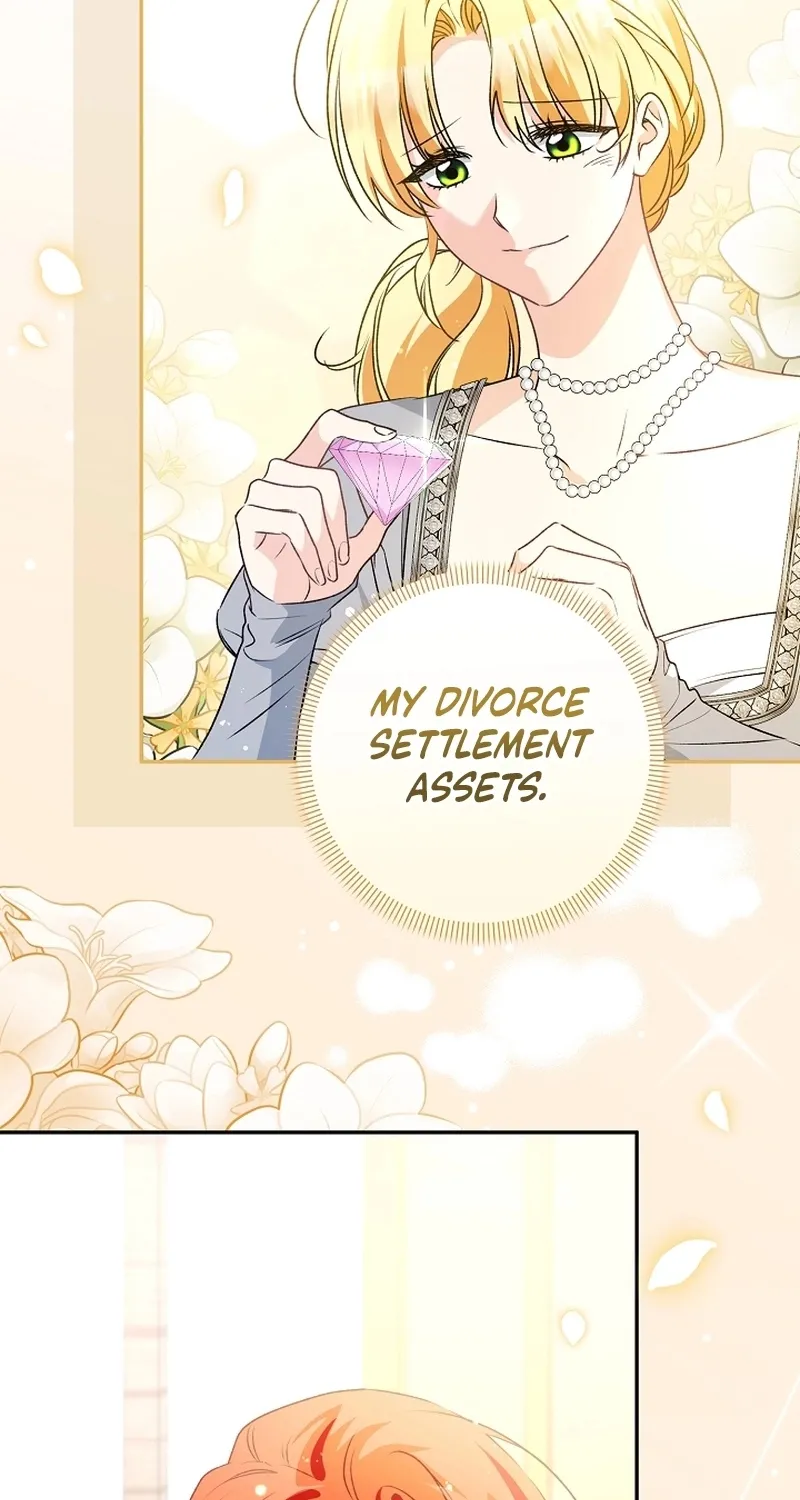 I Want a Divorce, Please Stop Obsessing Over Me! Chapter 15 page 42 - 