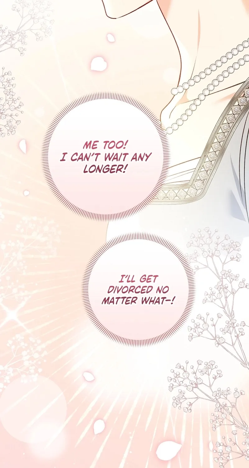 I Want a Divorce, Please Stop Obsessing Over Me! Chapter 15 page 69 - 