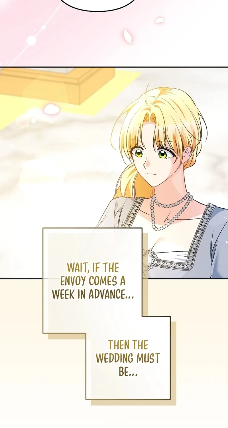 I Want a Divorce, Please Stop Obsessing Over Me! Chapter 15 page 71 - 